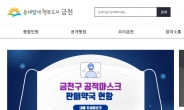 금천구, 공적마스크 약국 정보 홈피에 공개