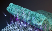 KAIST, 다공성 2차원 탄소 나노시트 합성기술 개발