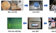 목재 수종식별 DNA 분석기술, 더 빠르고 정확해진다