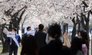 “인생샷이 국가재난보다 중요한가”…대학가 미팅·벚꽃놀이, 무너지는 사회적 거리두기