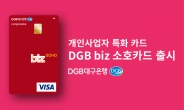 대구은행, 소상공인 맞춤 DGB biz 소호 카드 출시