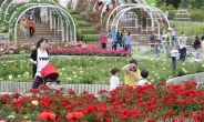 “울산, 봄꽃 & 장미 축제, 코로나19로 결국 취소”