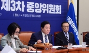 [헤럴드pic]  발언하는 이석현 더불어민주당 중앙위원회 의장