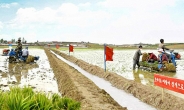세계식량계획, 북한 영양지원 활동 중단