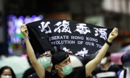 “단순 시위 참가자까지 처벌”…홍콩보안법, 시위 전면 탄압 우려 ↑