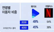 4050까지 사로잡은 ‘웨이브’…비결은 친숙한 ‘K-콘텐츠’