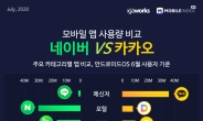 지도·웹툰은 네이버가 우세…카카오는 금융·결제 선점