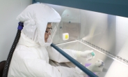 유전자 변형 실험용 생쥐, 코로나 치료제·백신 개발 돕는다