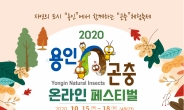 ‘용인n곤충’ 온라인 페스티벌 개최