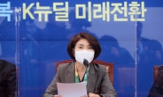 [헤럴드pic] 발언하는 더불어민주당 한정애 정책위의장