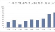 백색가전 시장에 부는 스마트한 바람···성숙단계의 백색가전 분야에 특허출원 급증