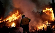 [인더머니] 브라질, 작년 삼림화재 22.2만여건…10년새 최대
