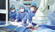 [대동맥판막협착증] 개흉수술 더 위험한 고령층…100세시대 심장 지키는 ‘TAVI시술’