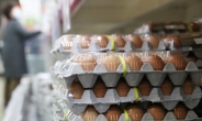 [단독] 내일 정부 비축물량 200만개 풀린다…계란값 안정화되나 [언박싱]
