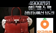 “4900만원 에르메스 악어 가방도 당근”…‘청담동’ 당근마켓 들여다보니