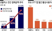 넷플릭스 겨냥 ‘OTT 쿼터제’ 첫 논의