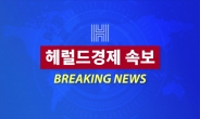 [속보] 靑 “LH투기의혹 관련 청 내부조사 이번주 1차 결과 발표”