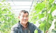 전남서 유기농 오이 재배해 1억2000만원 버는 김태현씨