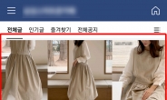 네이버 카페에 ‘대문짝’ 만한 광고가…“구석구석 지뢰”