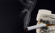 유독 설암 발병률 높은 젊은층…술·담배가 ‘웬수’