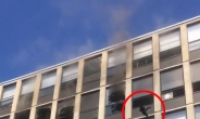 [영상] 5층 화재빌딩서 점프 ‘괴력의 고양이’