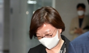 [헤럴드pic] 회의에 참석하는 진선미 국회 국토위원장