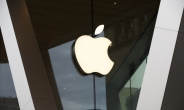 美 애플 직원, ‘9월부터 회사 출근’ CEO 결정에 집단반발…“의견 무시 당했다”