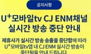U+모바일tv서 CJ ENM 채널 송출중단…콘텐츠사용료 협상 결렬