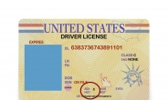 운전면허증 성별 표시에 ‘X’?…美 뉴욕주 ‘젠더인정법’ 면허증에 반영