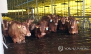 광주.전남 장맛비 소강...오후에 장마전선 다시 남하