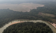 ‘지구의 허파’ 아마존 우림 ‘비상’…탄소 배출량이 흡수량 넘어서