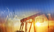 국제유가, OPEC+ 원유 공급 확대·델타 변이 우려에 하락…WTI 2%↓ [인더머니]