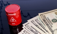 “OPEC+ 8월 이후 증산 합의…유가 안정화 ETF에 주목”