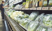과일·채소 폭염 피해 최소화…농식품부, 관리요령 신속 안내