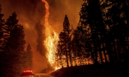 기후변화 영향 7월 전세계 산불 심각…탄소배출량 사상 최대