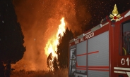 이탈리아, 48.8도 폭염에 화재 잇따라…터키선 산불에 홍수까지 [인더머니]