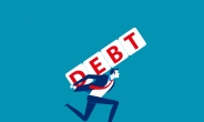 “민간·정부 부채, GDP 대비 254%로 늘어…재정준칙 도입 시급”