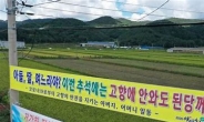 추석, 광주·전남 63명 확진자 추가…명절 타지역 접촉 이동