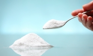 세계 식량 가격 두달째 하락…설탕 가격도 ‘뚝’