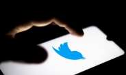 NFT, SNS 프로필까지 점령…매타·트위터 관련 서비스 박차