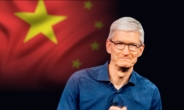 “중국 위해 기부하겠다” 애플, 한국선 배짱 중국선 벌벌