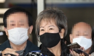 손혜원 ‘목포투기 의혹’ 대법원까지…검찰, 孫 2심 벌금형에 상고