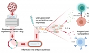 고대의대 알레르기면역연구소, 장내미생물 이용한 新 COVID-19 경구형 백신기술 개발