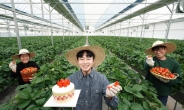 SPC그룹, 논산의 청년 딸기 농부와 손잡는다…비타베리 제품 활용