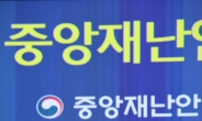 전해철 “먹는 치료제, 65세이상 고령자·면역저하자 우선 투약”