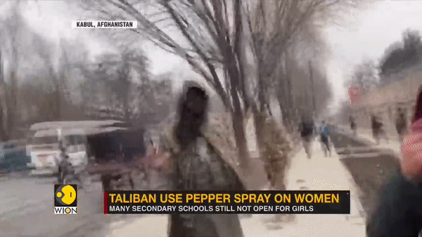 [영상] ‘평등’ 외친 여성 시위대에 최루액 뿌린 탈레반…총까지 겨눠 [나우,어스]