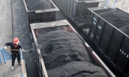 ‘고공행진’ 석탄값,연초대비 23.4%↑… 발전·철강업계 비상