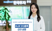 한국투자증권, ELW 313종목 신규 상장