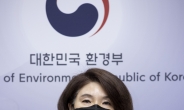 오늘 초미세먼지 전국서 '나쁨'…환경부, 비상저감조치 시행