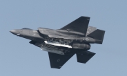 美, 동유럽에 F-35 전투기 8대·아파치헬기 32대 추가배치